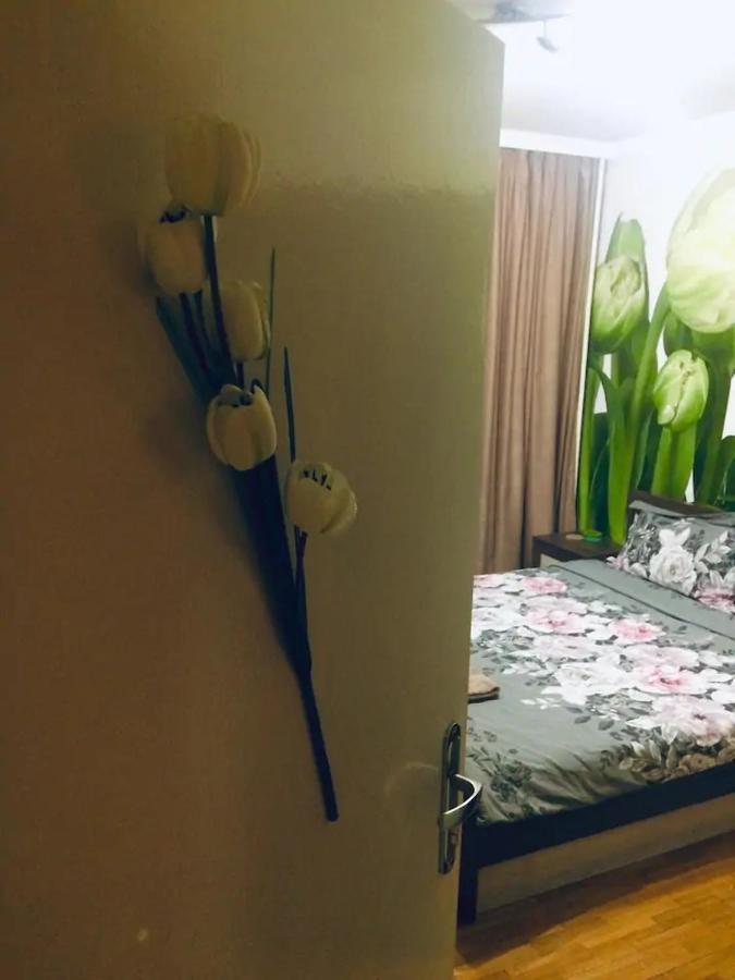 2 Bedrooms With Private Bath And Balcony Near The Airport โซเฟีย ภายนอก รูปภาพ